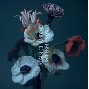 Alain Chamfort - Limpermanence (LP)
