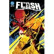 DC K.O. the Flash