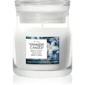 Yankee Candle Midnight Jasmine mirisna svijeca Signature 110 g