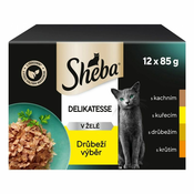 Sheba Delikatesse izbor vrečk s perutnino v želeju 6 x (12 x 85g)