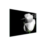 shumee STEKLENA DESKA ZA REZANJE 40x30 ROSE