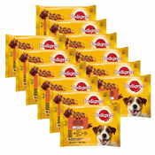 Pedigree Mixed izbor hran v želatini 12x(4x100 g)