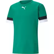 Puma Dres teamRISE Jersey