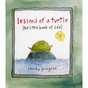 Lessons of a Turtle