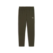 Puma EVOSTRIPE PANTS DK, muške hlace, zelena 688234