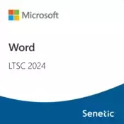Word LTSC 2024