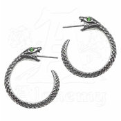 Uhani ALCHEMY GOTHIC - Sophia Serpent - E403