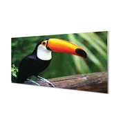 tulup.si Stenska plošča za kuhinjo Toucan na veji 100x50 cm