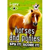 i-SPY Horses and Ponies