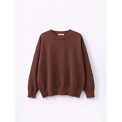 MixRay Pulover Pullover rjava