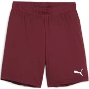Puma Kratke hlače teamGOAL Shorts Jr