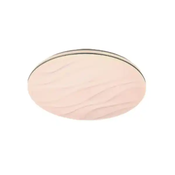 LED plafonjera 24W hladno bela (YL-N-011)
