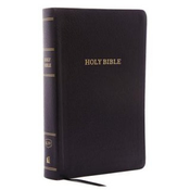 KJV Holy Bible, Personal Size Giant Print Reference Bible, Black Bonded Leather, 43,000 Cross References, Red Letter, Comfort Print: King James Versio
