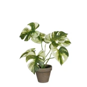 Umetno cvetje Monstera, zeleno-pisana