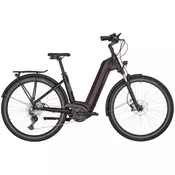 Električno kolo Bergamont E-HORIZON EXPERT 6 WAVE vij