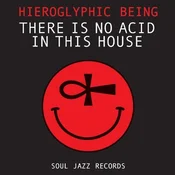Hieroglyphic Being - There Is No Acid In This House (2 LP)