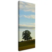 shumee Platno Narava Drevo na polju 40x120 cm Nebo Travnik Oblaki