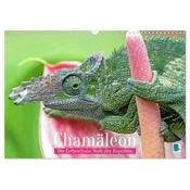 Chamäleon: Die farbenfrohe Welt der Reptilien (Wandkalender 2027 DIN A3 quer), CALVENDO Monatskalender
