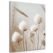 Slika vejice bombaža - 100x150