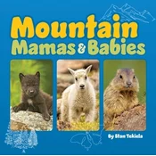 Mountain Mamas and Babies