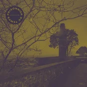 Prisonnier Du Temps - Comme Un Lion En Cage (LP)