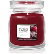Yankee Candle Woodland Spice dišeča sveča 110 g