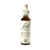 Bach Rock Rose, kapljice št. 26 - popon, 20 ml