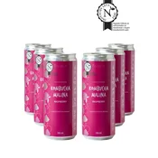 Kombucha malina bio 330ml