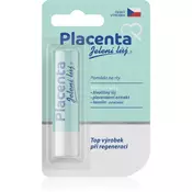 Regina Placenta balzam za usne s placentom 4.5 g