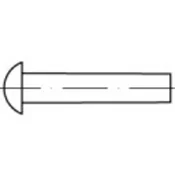 TOOLCRAFT TOOLCRAFT polokrogle kovice DIN 660 18 mm jeklo 250 kosov