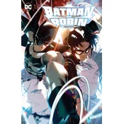 BATMAN & ROBIN V02