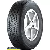 Gislaved Euro*Frost 6 ( 225/55 R17 101V XL )