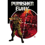 PUNISHER & FURY MAX BY GARTH ENNIS OMNI