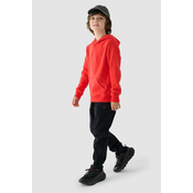 Boys Non-Zip Hoodie With Hood 4F 4FJWMM00TSW