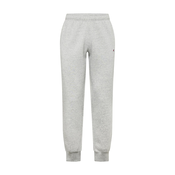 Champion Authentic Athletic Apparel Hlače siva