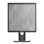 DELL 19 P1917S Professional IPS 5:4 monitor