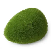 DEKORACIJA AQUA DELLA MOSS MEDIUM