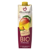 BIO NEKTAR IZ MANGA, 1 L
