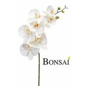 Umetna orhideja bela 82 cm RT - bela - 76 do 100 cm