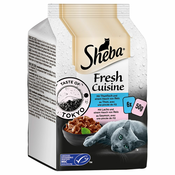 Ekonomično pakiranje Sheba Fresh Cuisine Taste of Tokyo (MSC) 36 x 50 g - Tunjevina i losos