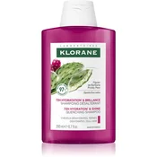 Klorane Indijska smokva šampon za kosu, 200 ml