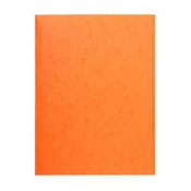 Exacompta Mapa EXACOMPTA, DIN A4, karton, oranžna, (21652176)