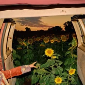 Kevin Morby - Little Wide Open (Limited Edition) (Eco-Mix Coloured) (2 LP)