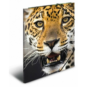 HERMA mapa z elastiko A4 PP LEOPARD