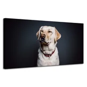 shumee Platno s tiskom Živali Pes Črno ozadje 120X60