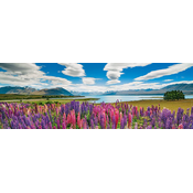 Heye puzzle 1000 pcs Edition Humboldt Panorama Lake Tekapo 29902