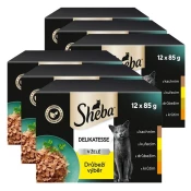 Sheba Delikatesse Kapsica s piletinom u želeu 6 x (12 x 85g)