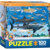 EuroGraphics Morski psi Puzzle 100 kosov