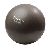 shumee YB02 NOVA 65CM GRIZZLY TELOVADNA ŽOGA HMS