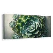 Slika lepota sukulente - 200x100